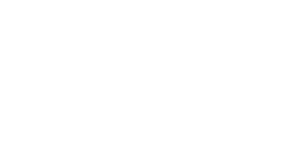 Zowis